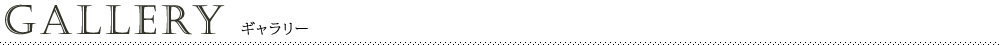 ギャラリー